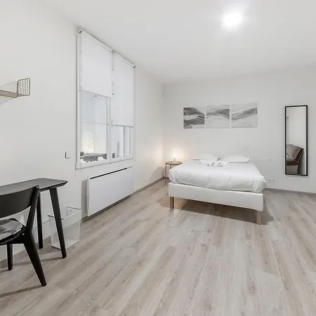 Apartment Le Monet - Grand Logement Hyper Centre Angers